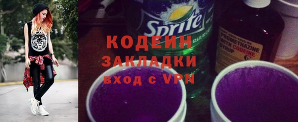 ГАЛЛЮЦИНОГЕННЫЕ ГРИБЫ Богданович