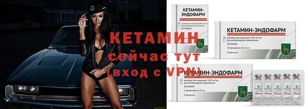 ГАЛЛЮЦИНОГЕННЫЕ ГРИБЫ Богданович