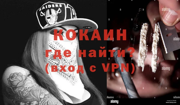 ГАЛЛЮЦИНОГЕННЫЕ ГРИБЫ Богданович