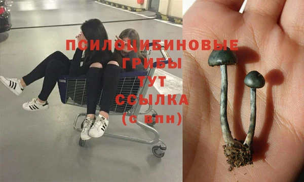 ПСИЛОЦИБИНОВЫЕ ГРИБЫ Бронницы