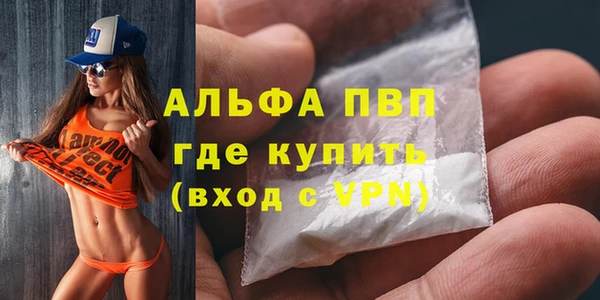 ГАЛЛЮЦИНОГЕННЫЕ ГРИБЫ Богданович