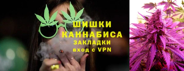 ГАЛЛЮЦИНОГЕННЫЕ ГРИБЫ Богданович