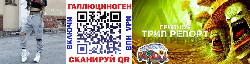 Псилоцибиновые грибы MAGIC MUSHROOMS  Зима 